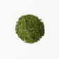 緑茶グリーンティー ７個入り NISHIJIN edition